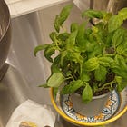 Pesto | The Sauce of Having Nothing