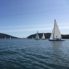 When Art Meets Wind: 