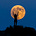 Mark Kim's avatar