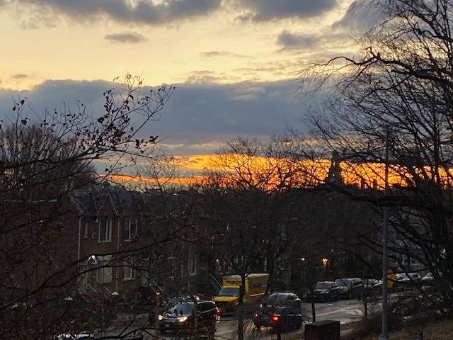 My Queens neighborhood from a dog walk in the park at dusk