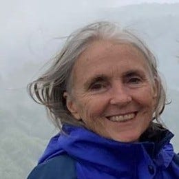 Niccola’s Substack