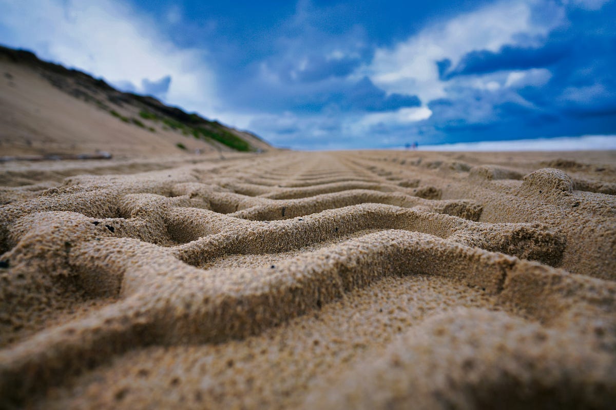Labyrinth in the sand Labyrinth in the sand