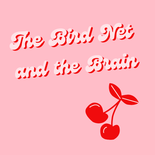 The Bird Net and the Brain