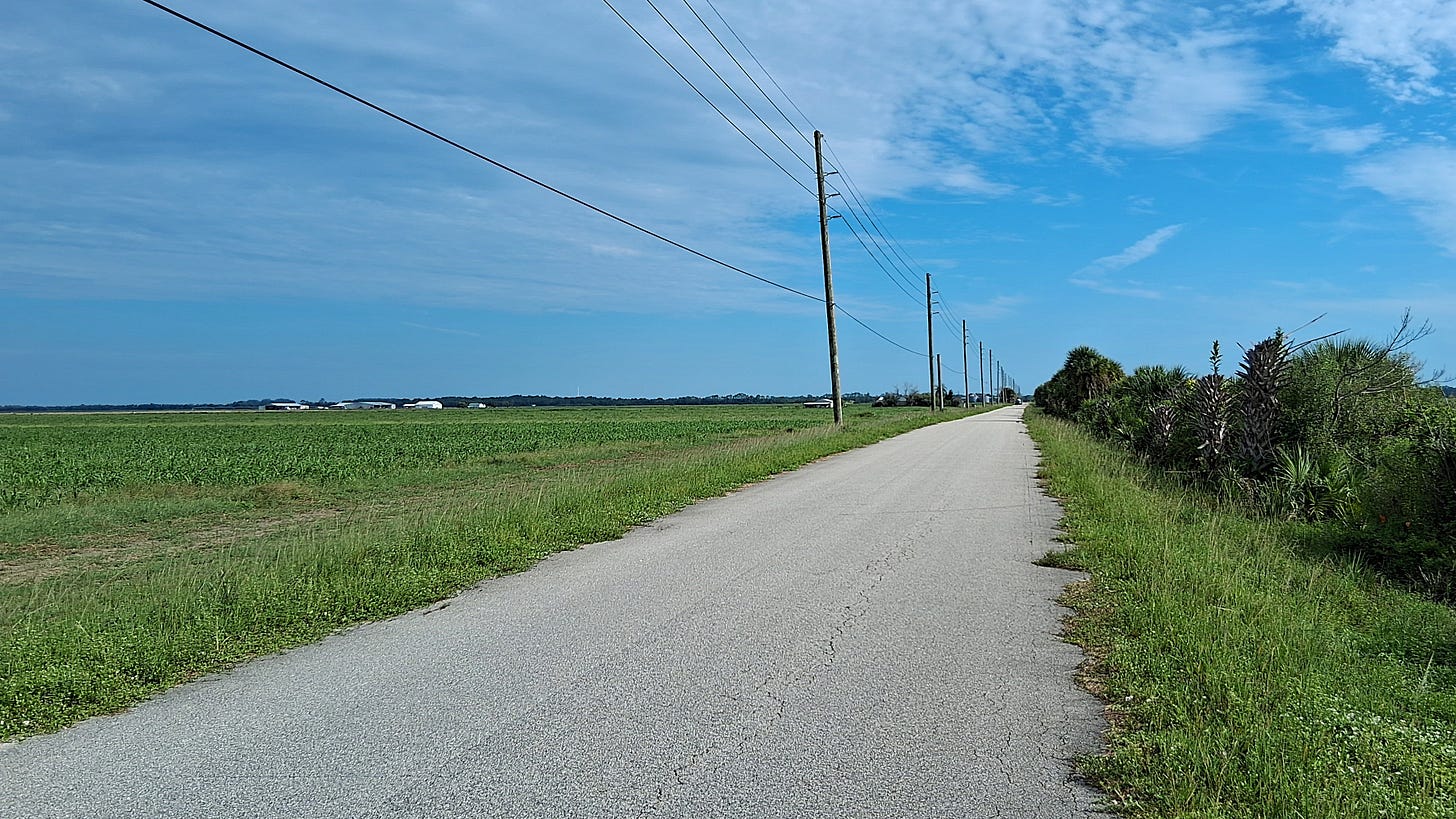 Looking north along Sartori Avenue. Brevard County, Florida 2026
