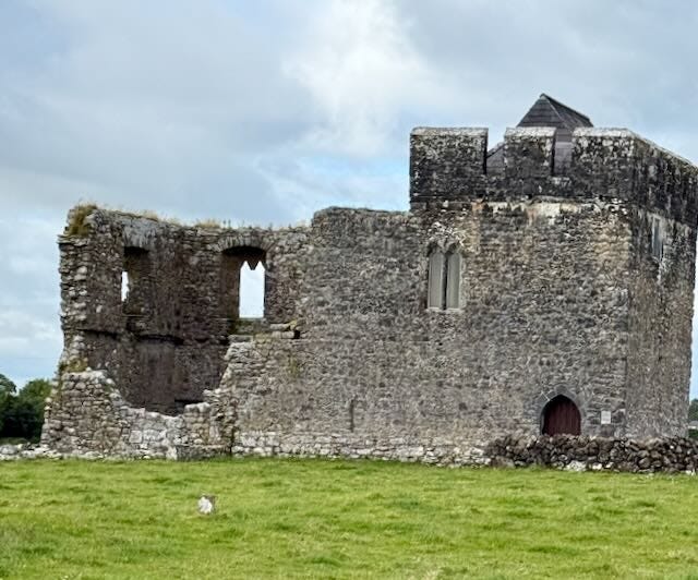 Church ruins, stone tower, Muckross Friary, An ancient yew tree holds court at the friary