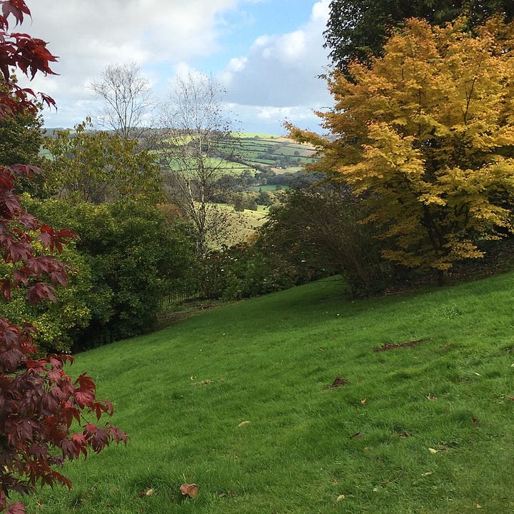 photos in Cornwall by Sabrina Simpson