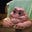 ribbetus thrax's avatar