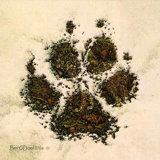 Artwork for Tom’s World of Stories