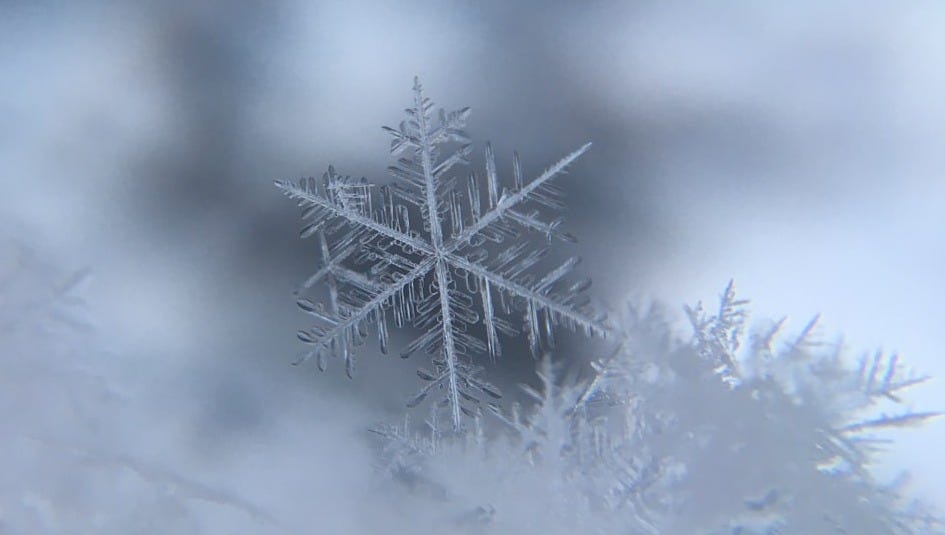 shallow focus photography of snowflake shallow focus photography of snowflake