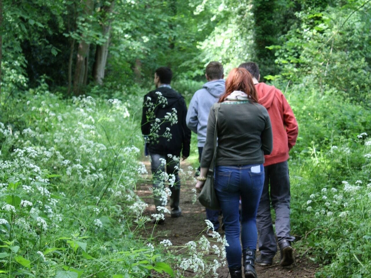 Friends walking in woodland