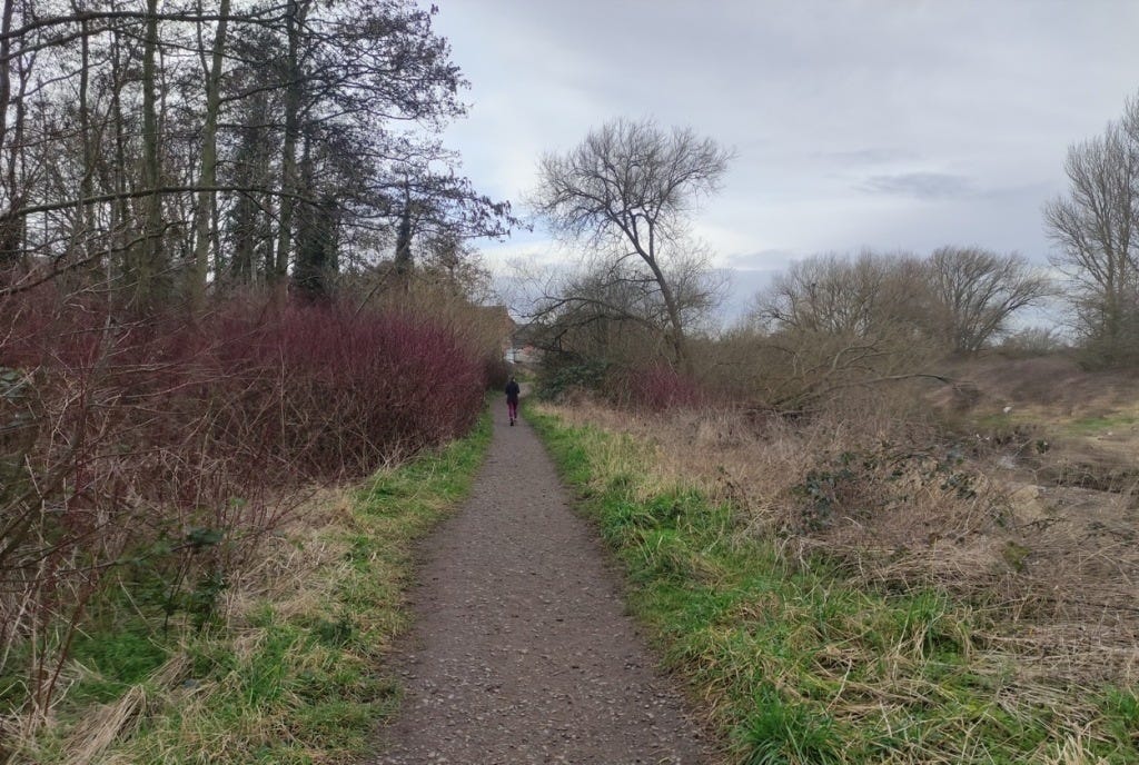 A narrow path heads through scrubby bushes, some showing dark red colour