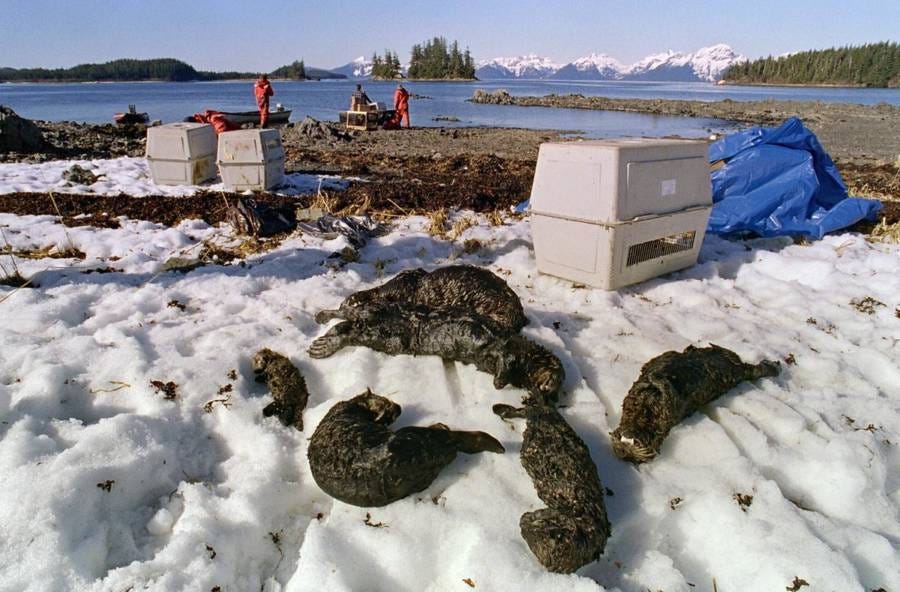 The Exxon Valdez Oil Spill In 33 Devastating Photos