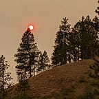 Pines Podcast Custom Subdomain