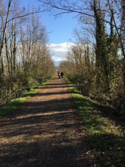 via-francigena via-francigena