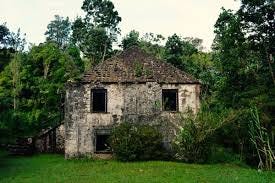 Clydesdale National Forest Park is nestled in the hills of the Blue Mountain range, making it a serene and beautiful escape from the hustle and bustle of everyday life. 