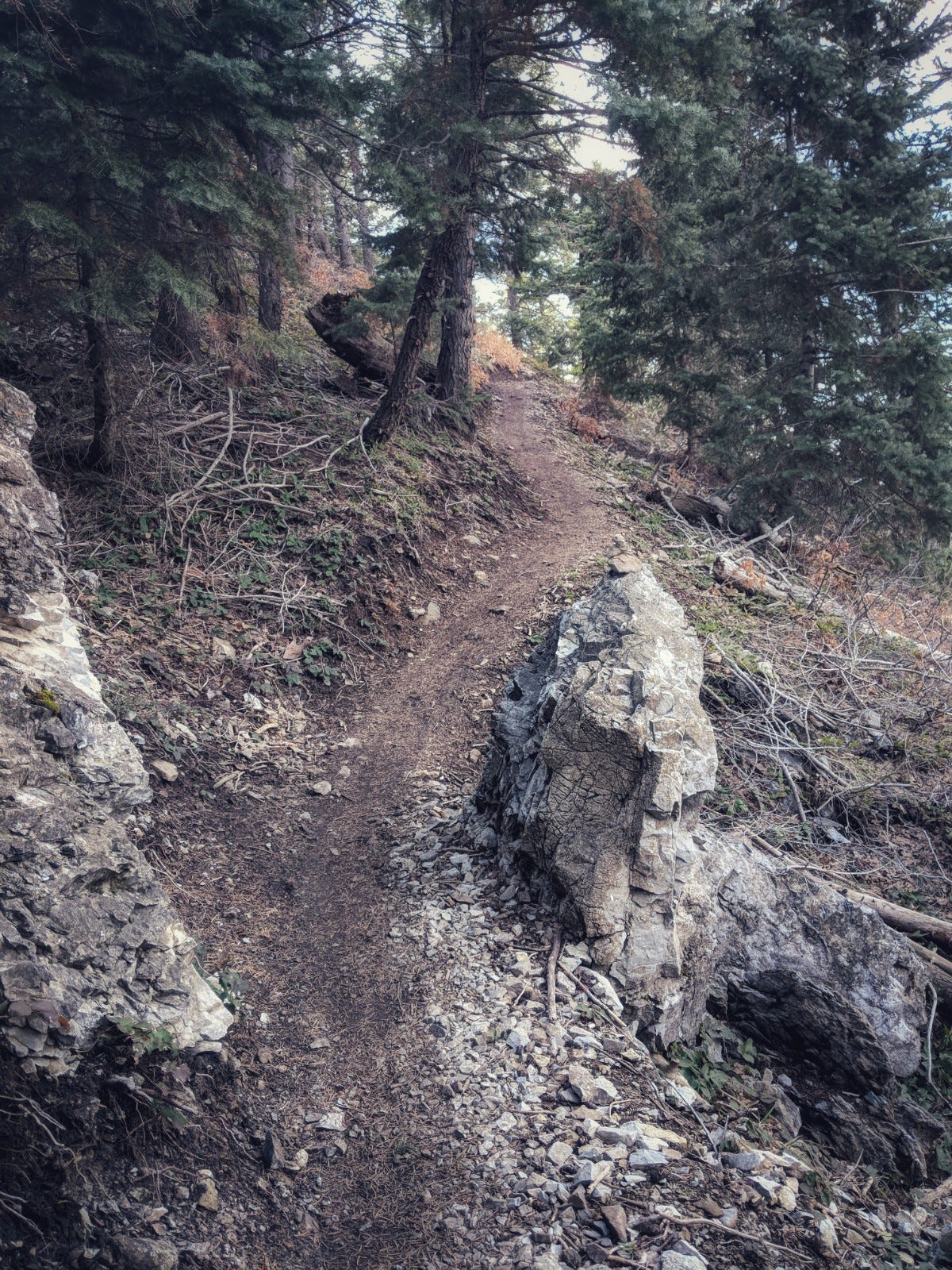 Ogden Enduro