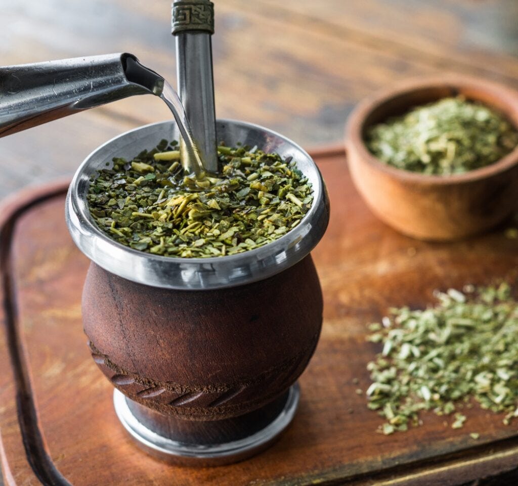 What Is Yerba Mate | Vida Mate What Is Yerba Mate | Vida Mate