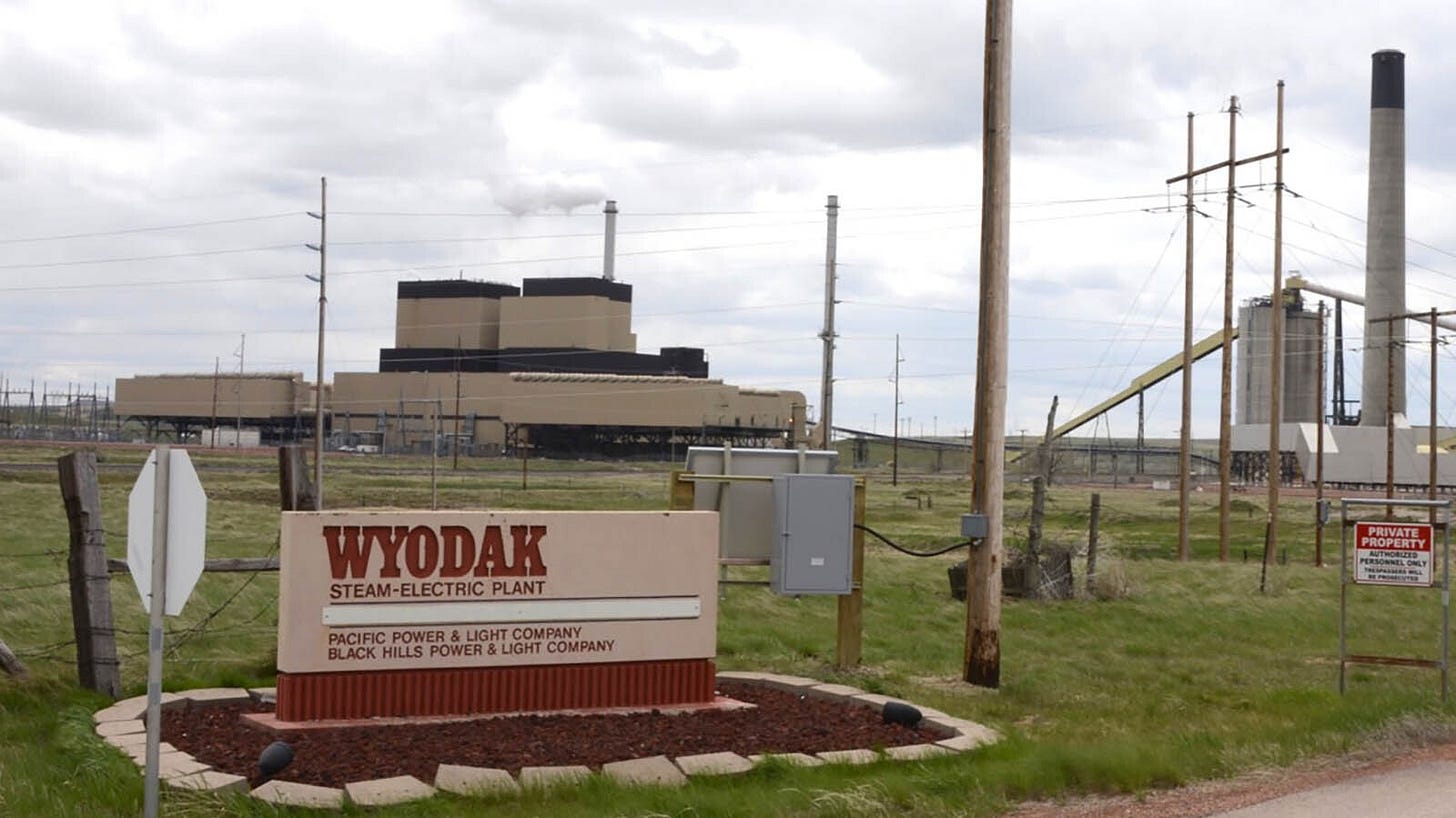 Wyodak 3 29 24