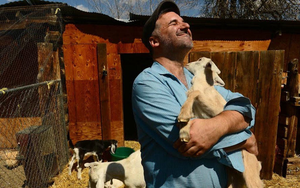 Rabbi Marc Soloway hugs a baby goat named Sheleg at the Jewish Community co-op farm near his synagogue in Boulder, Colorado on April 10, 2014. (Photo By Helen H. Richardson/ The Denver Post) Rabbi Marc Soloway hugs a baby goat named Sheleg at the Jewish Community co-op farm near his synagogue in Boulder, Colorado on April 10, 2014. (Photo By Helen H. Richardson/ The Denver Post)
