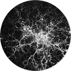 Artificial Intelligence and Living Wisdom