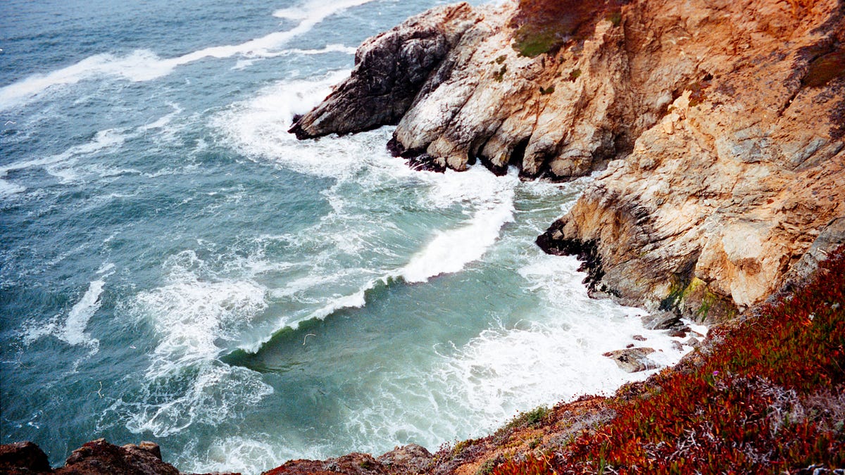 Pacific Edge