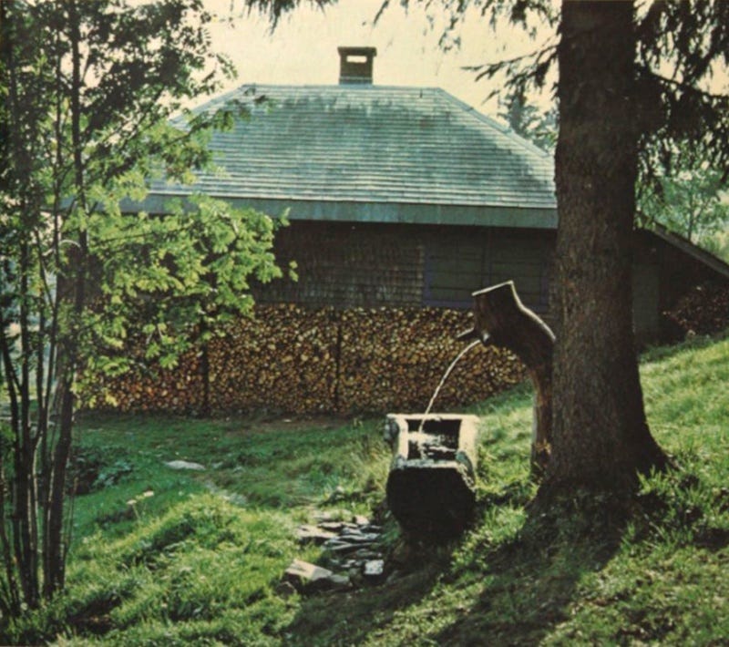 Heidegger Photos : r/heidegger