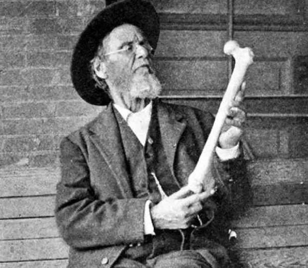 The 4 basic principles of Osteopathy - Gemini Osteopathy The 4 basic principles of Osteopathy - Gemini Osteopathy