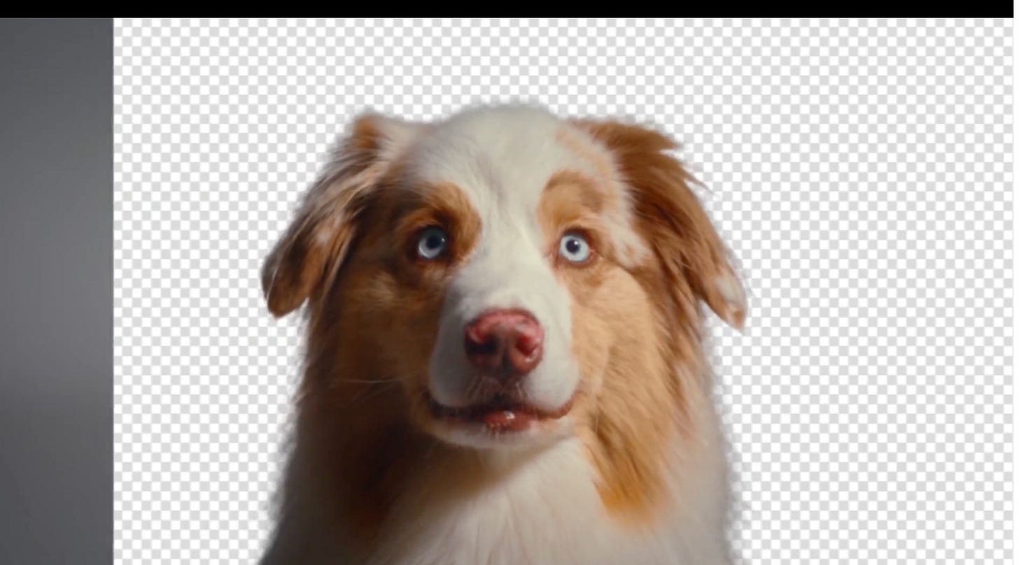 System will scan the video