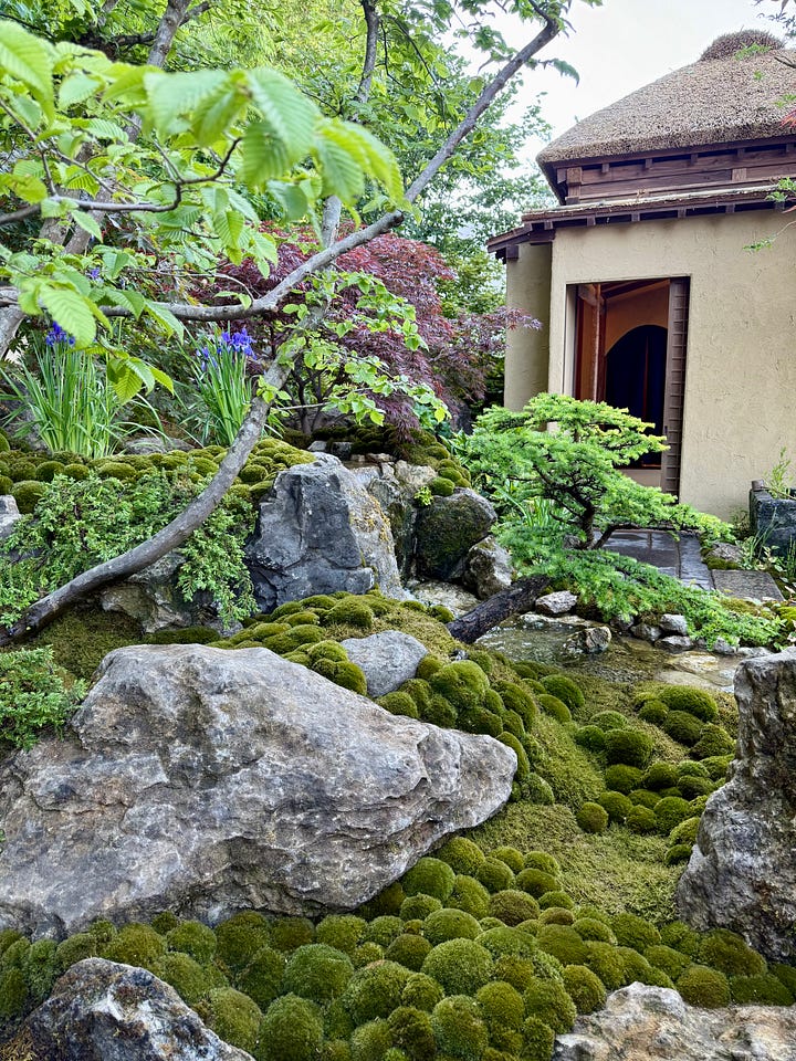 RHS Chelsea Flower Show Guide - The A-List by Aziza Lyons