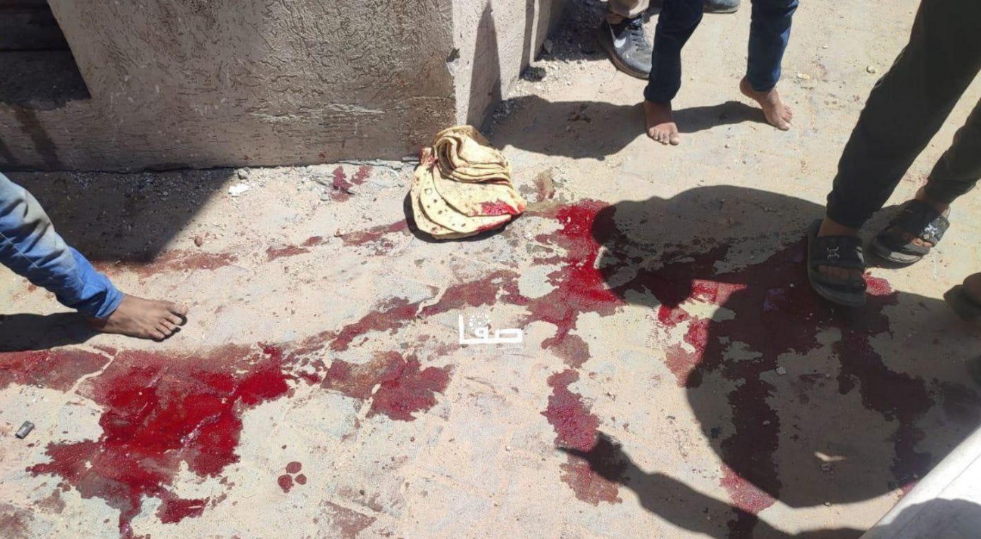 Aid - poem - Palestine Will Be Free