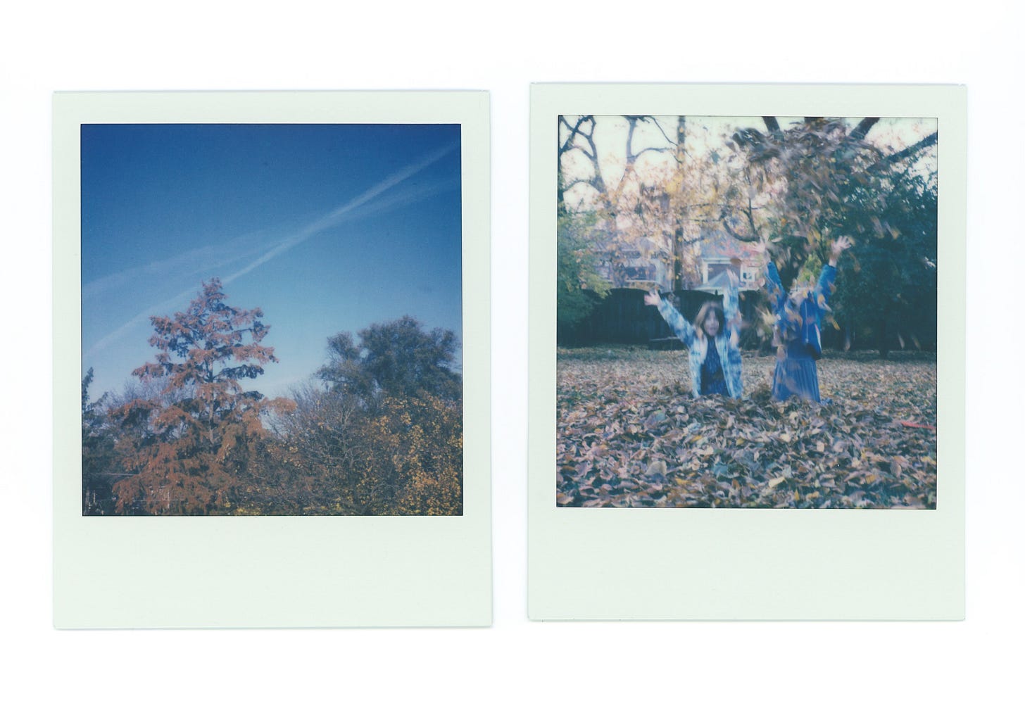 two polaroids. the one on the left shows a bright blue sky with crisscrossing chemtrails. there are the tops of many trees, in various states of color and leaf loss. the one on the right is two children throwing leaves into the air, their faces blurry with movement