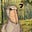 Shoebill's avatar