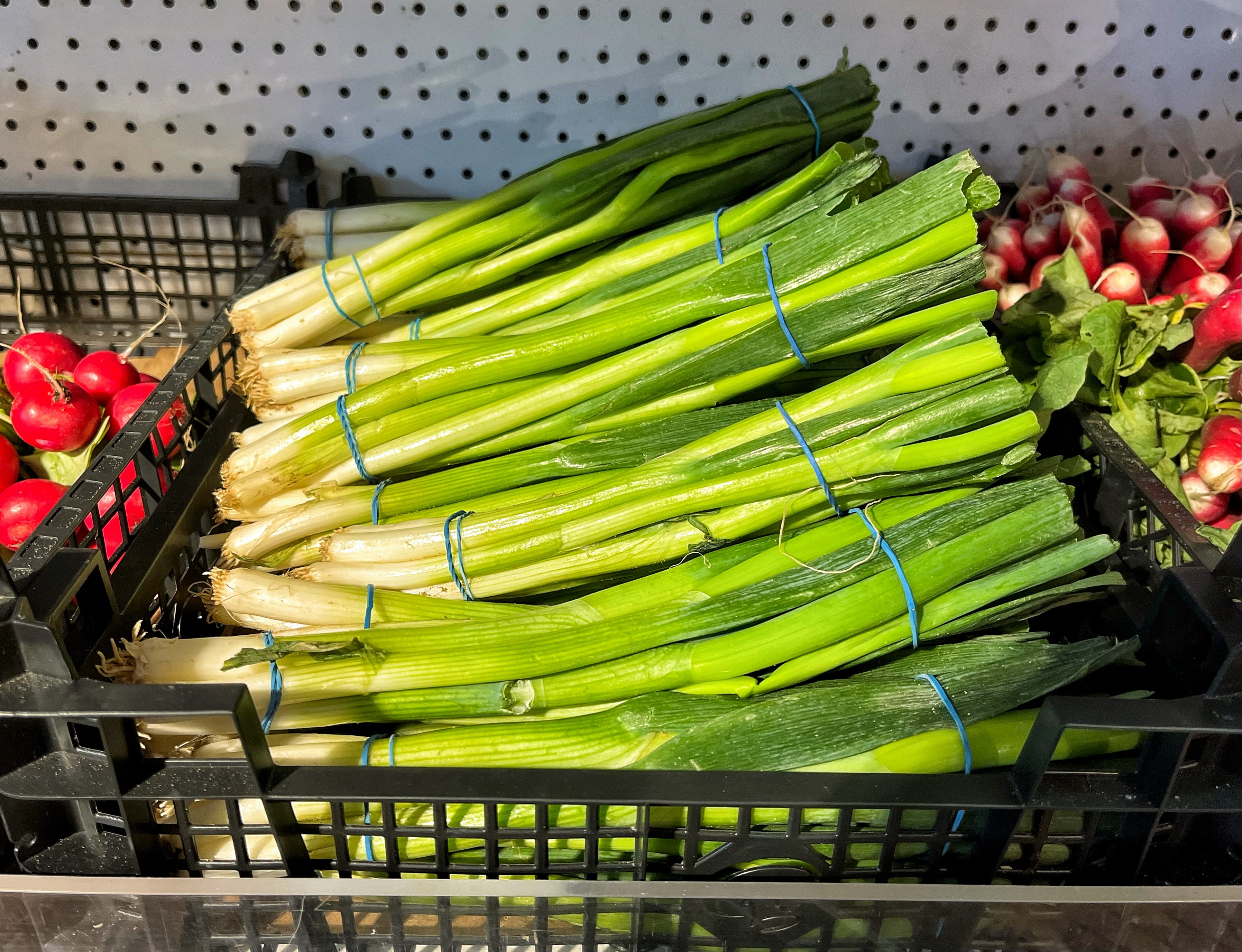 Fancy Spring Onions Spring onions. - by Rachel Phipps - ingredient