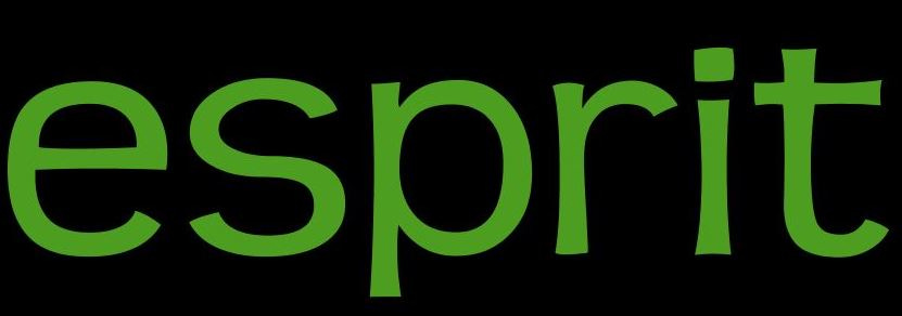 #aprilmlee2015esprit (word)