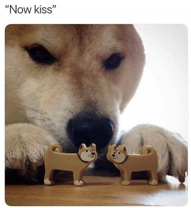 Now kiss : r/aww