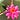 Debra A. Bickford's avatar