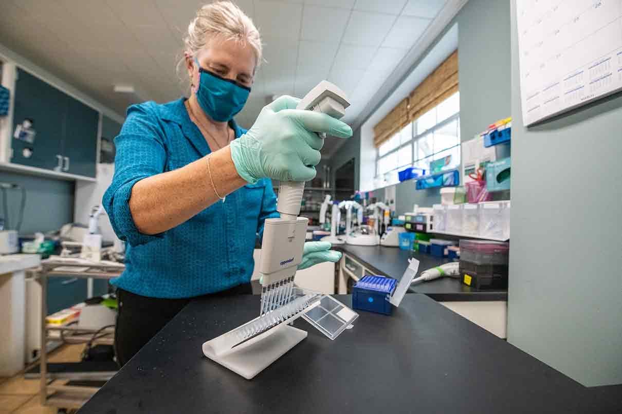una científica trabaja en un laboratorio para detectar fraude en la miel