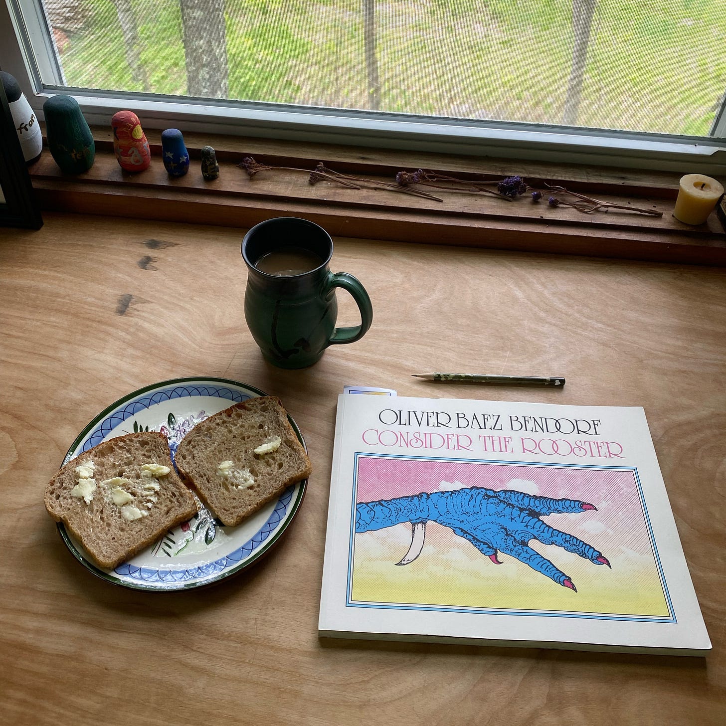 This book lies on a desk in front of the window, next to a mug of inka and a plate of toast.