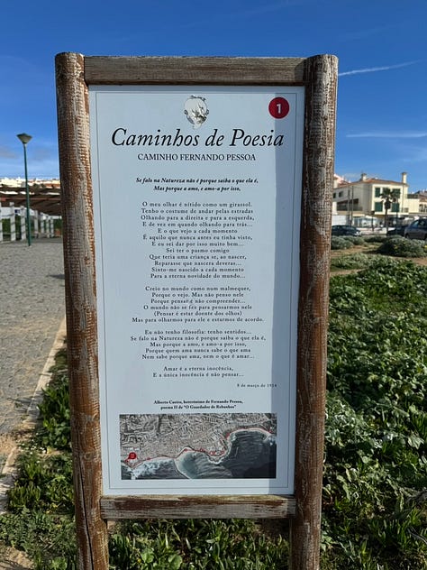 Fernando Passoa Trail