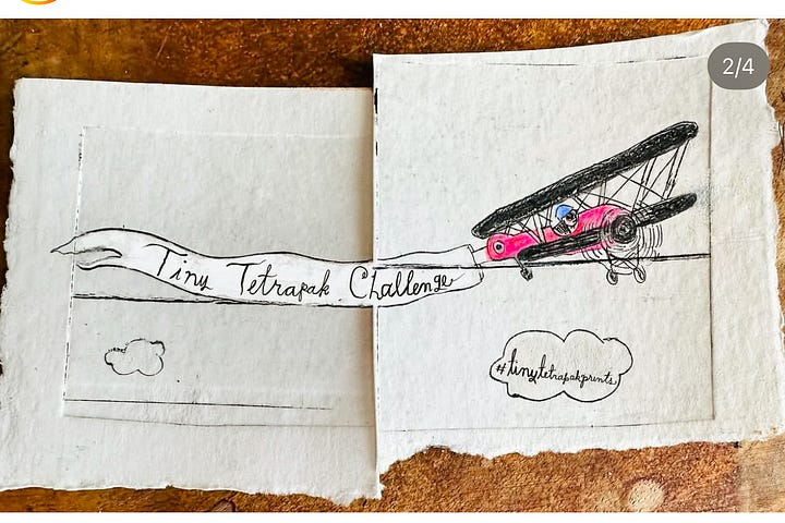 airplane and bird tetrapak prints