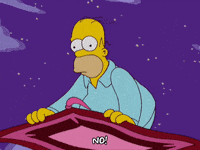 Homer Simpson con un'espressione spaventata e shockata, con le mani sollevate come per fermare qualcosa, e la parola "NO!". Homer sta viaggiando siu un tappeto volante sotto il cielo stellato.