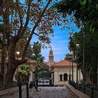 يوميات هائم في القصر العيني