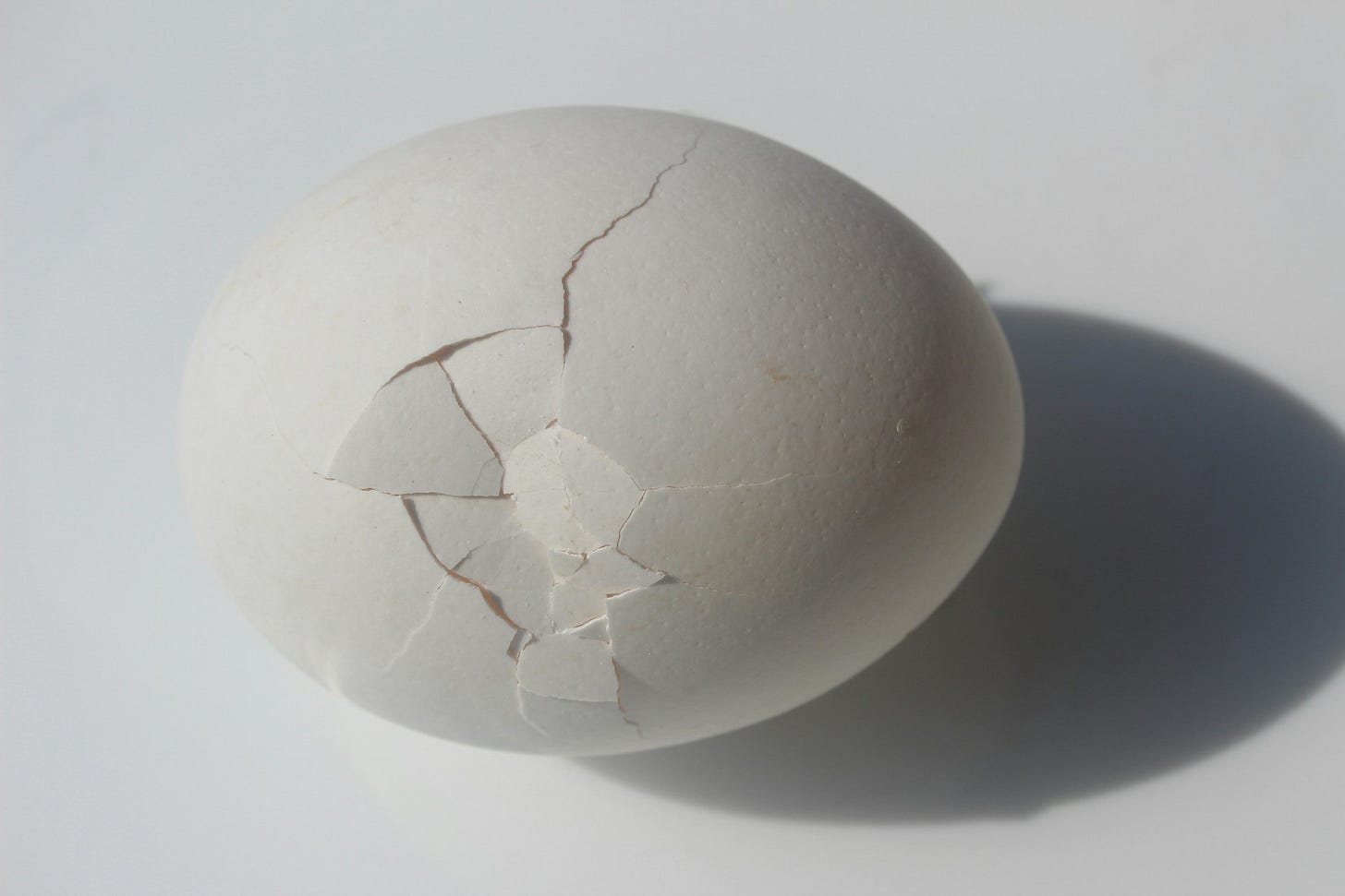 an egg with many cracks