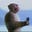 Jay Cook's avatar