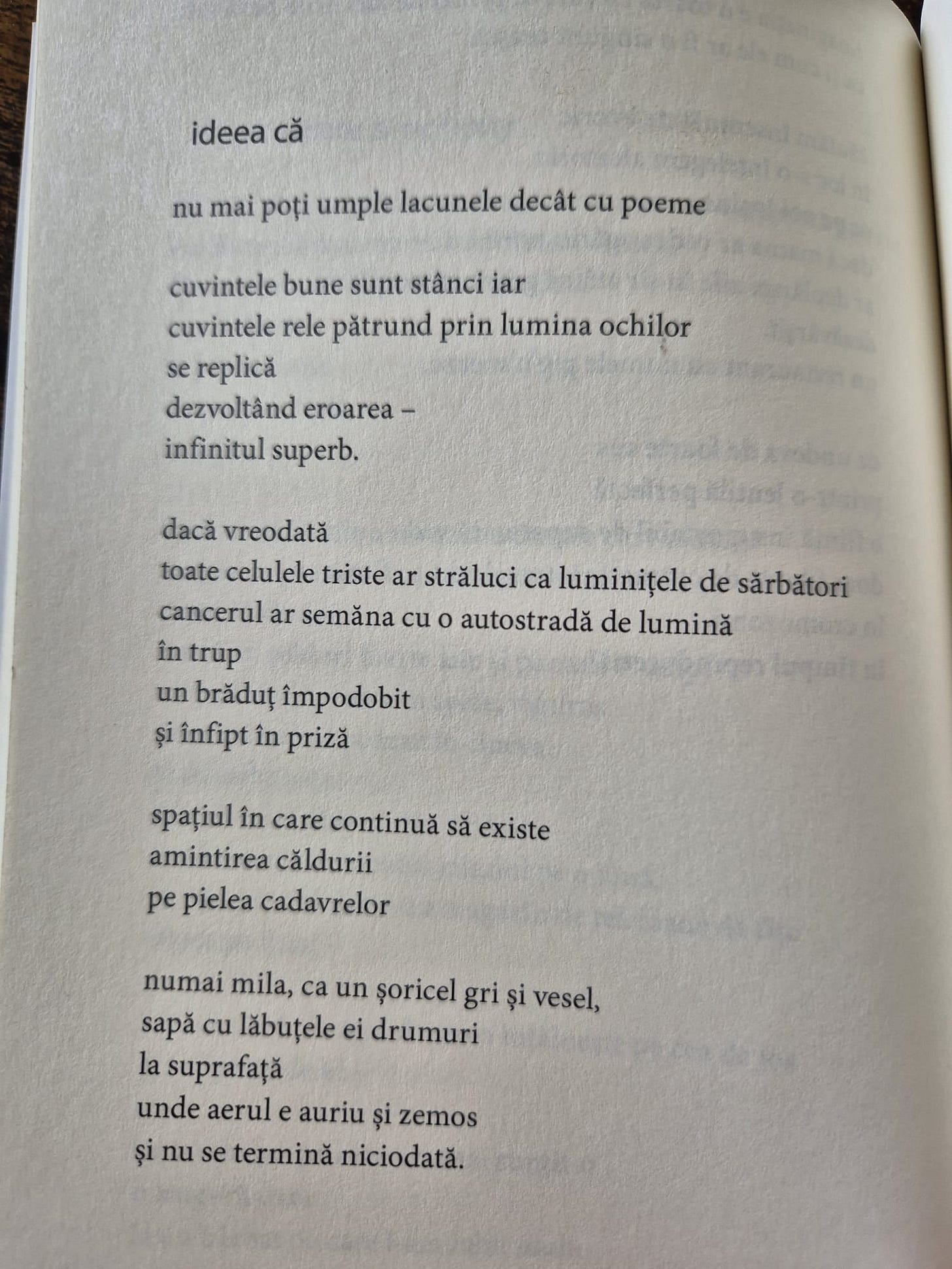 Codruța