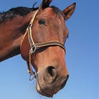 The Signorile Report 