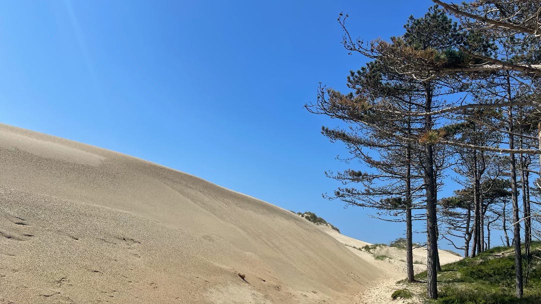 How Nature on My Island Adapts to the New Climate Conditions
