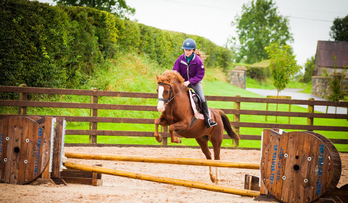 'Angel' jumps into the ribbons at Hagans Croft