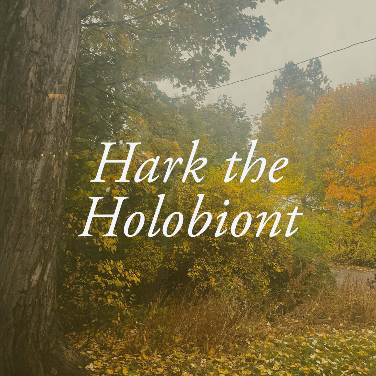 Hark the Holobiont | Mike Christie