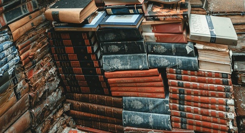 woman wearing denim jacket reading book